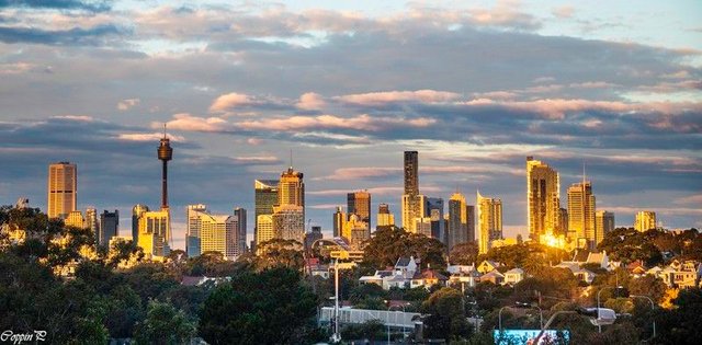 3/107 Lilyfield Road, NSW 2040