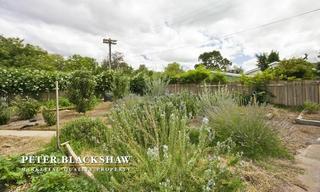 Garden (2010-03-12)