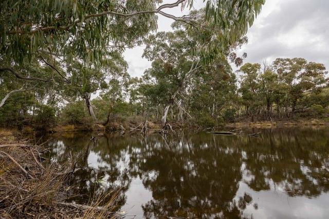 Lot 146, 1093 Pyramul  Road, NSW 2850