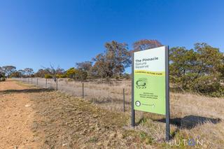 The Pinnacle Nature Reserve