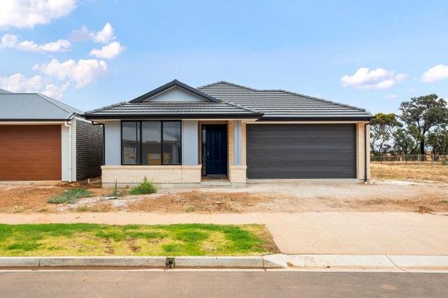 35 Ceravolo St, SA 5114