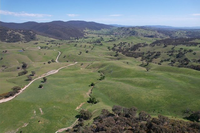 1208 Sawyers Gully, NSW 2582