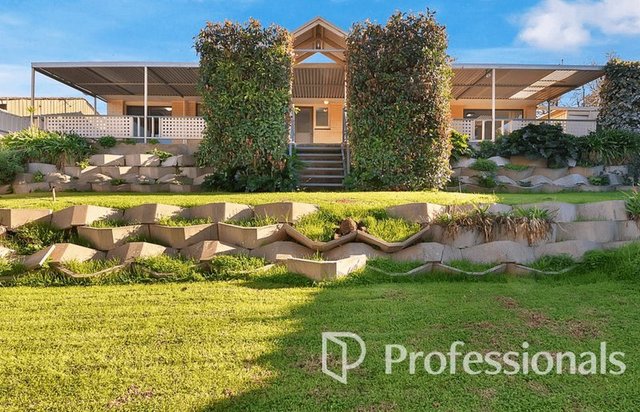 17 Geraldine Street, SA 5093