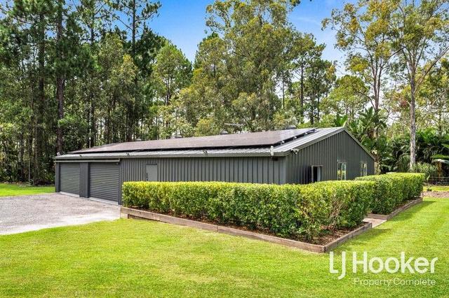 17-19 Spinebill Drive, QLD 4124