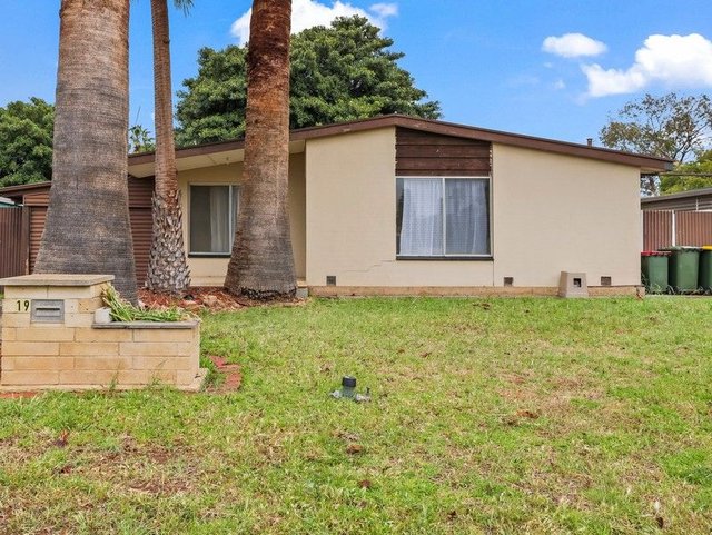 19 Douglas Street, SA 5113