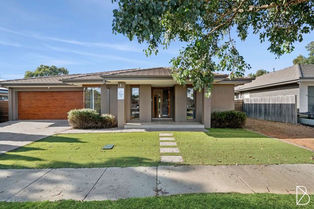 11 Eric Wright Street, ACT 2914