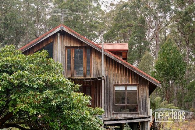 205 Mount Arthur Road, TAS 7259