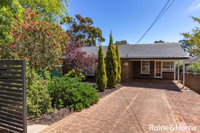 40 Gloucester Avenue, SA 5052