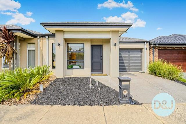 36 Castillo Avenue, VIC 3978