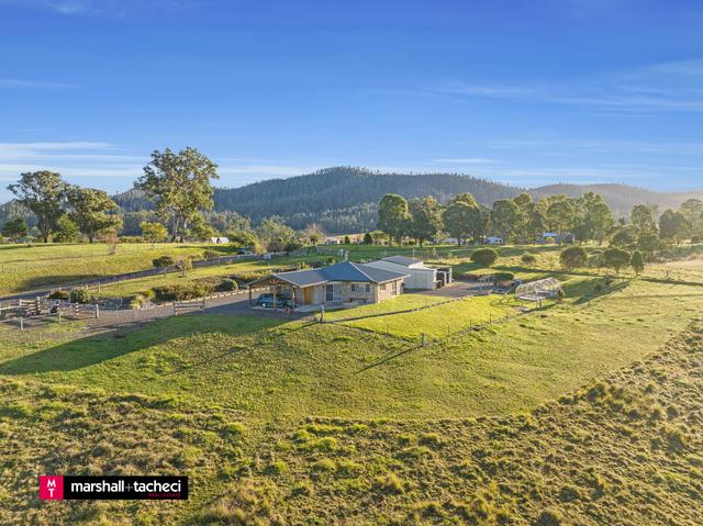 8 Blackbutt Drive, NSW 2550