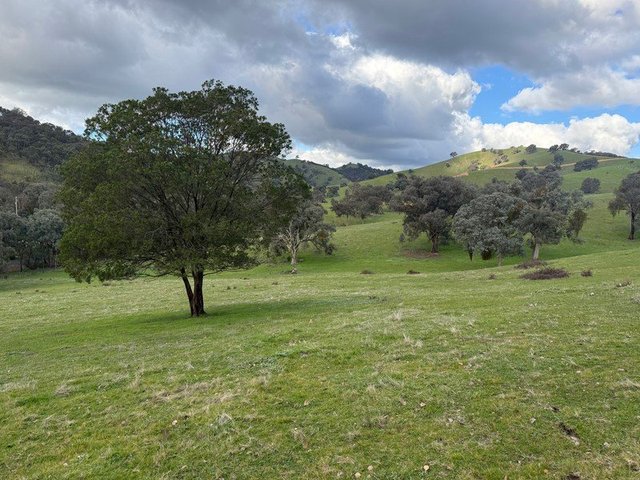 736 Ut Creek Road, VIC 3714