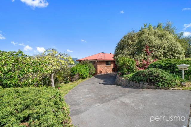 19 Carter Court, TAS 7140