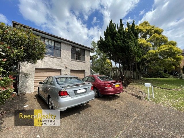 19A Viminaria Place, NSW 2304