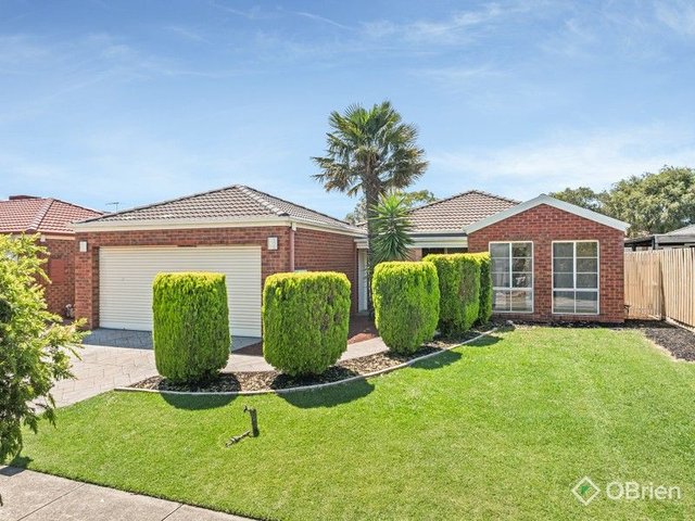 7 Webster Court, VIC 3201