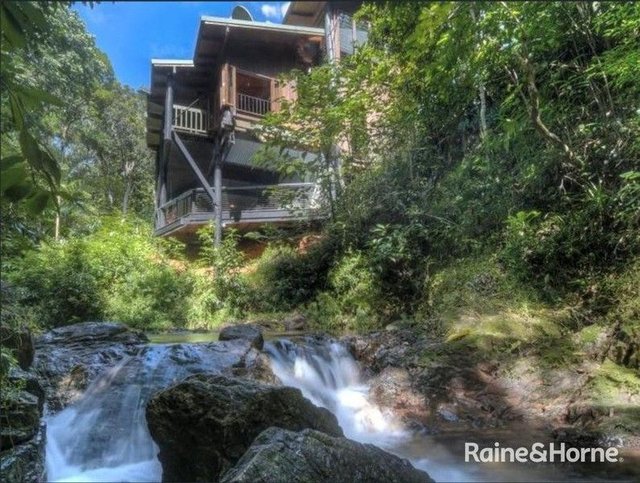 472 Buchanan Creek Road, Cow Bay, QLD 4873