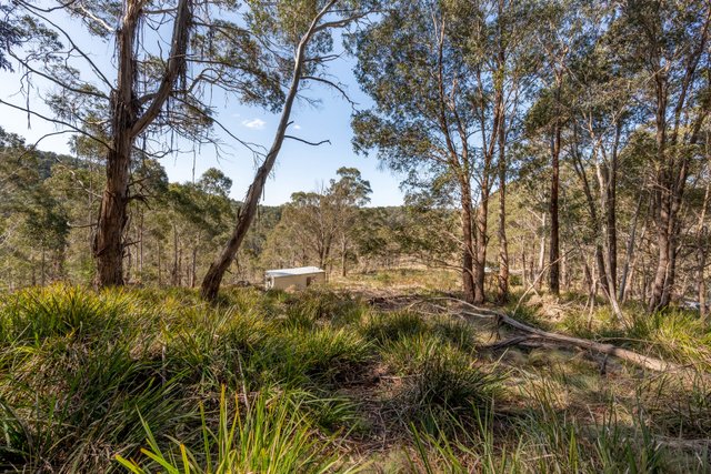 153 Blue Bush Road, NSW 2622