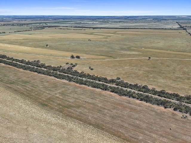 2293 & 2640 Mallee Highway, SA 5301