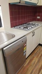 Standard Photo
