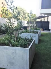 Communal BBQ area (2017-02-28)