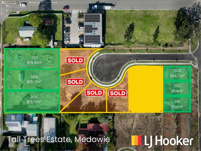 799 Medowie Road, NSW 2318