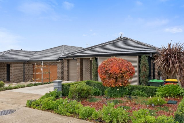 14 Engel Street, ACT 2611