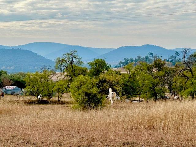 865 Saddletop Road, QLD 4361