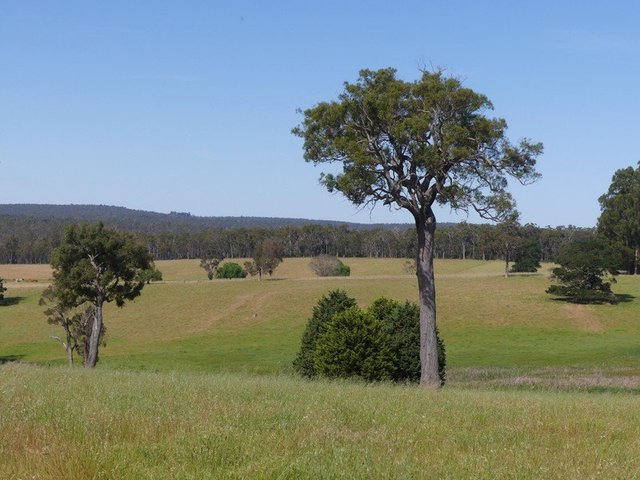 2441 Muir Highway (Perup), WA 6258
