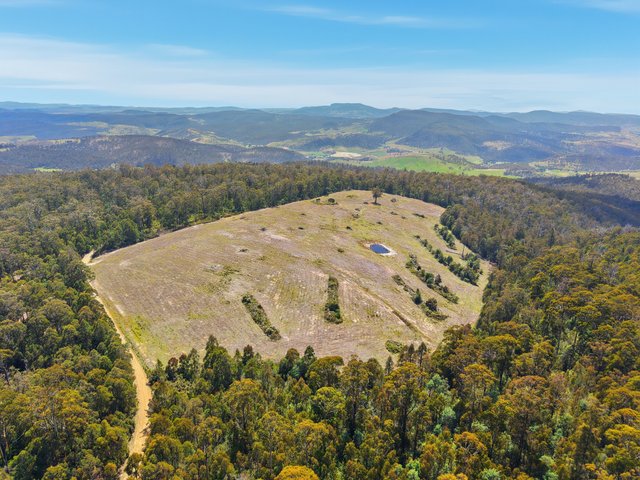 319 Yearsley Road, TAS 7030