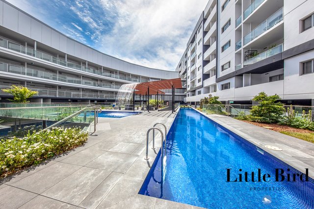 215/325 Anketell Street, ACT 2900