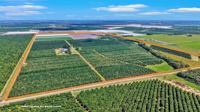 195 Pashleys Road, QLD 4670