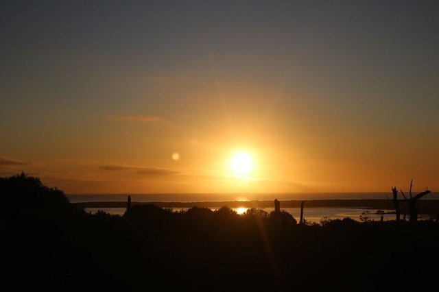 Lot 4 North East River Road, TAS 7255