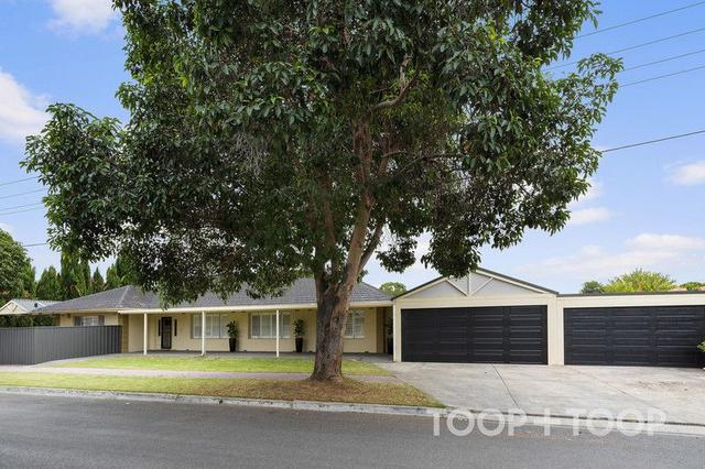 30 Ashbrook Avenue, SA 5070