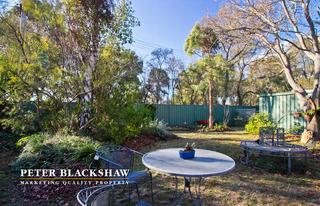 Back garden (2013-06-12)