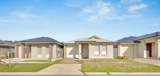 13 Wildwood Street, SA 5108