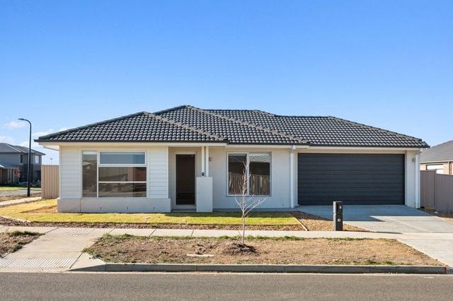 8 Tuckeroo St, VIC 3358