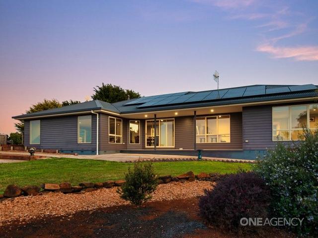 17206 Bass Highway, TAS 7321