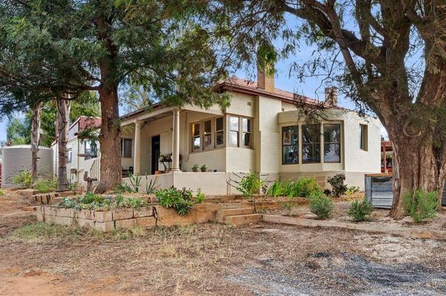 262 Holmes Road, SA 5331