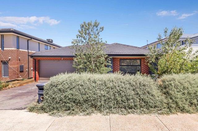 35 Medlar Avenue, VIC 3024