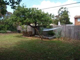 Backyard (2012-01-11)
