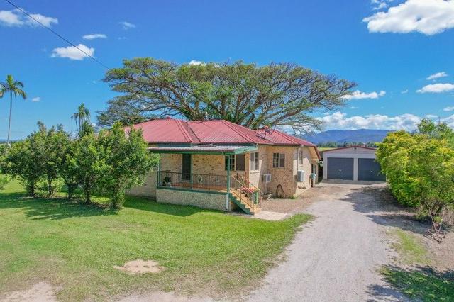 315 Halifax Road, QLD 4850