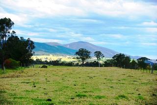 Grazing Land