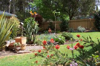 Backyard (2006-10-26)