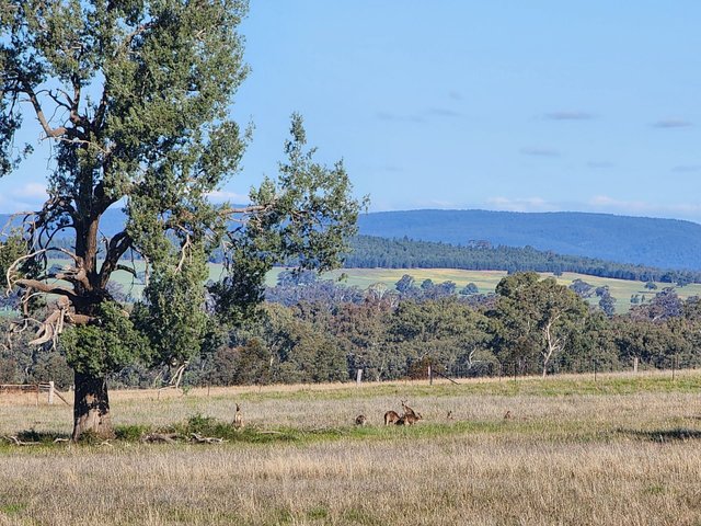 91 Aitken Lane, NSW 2870