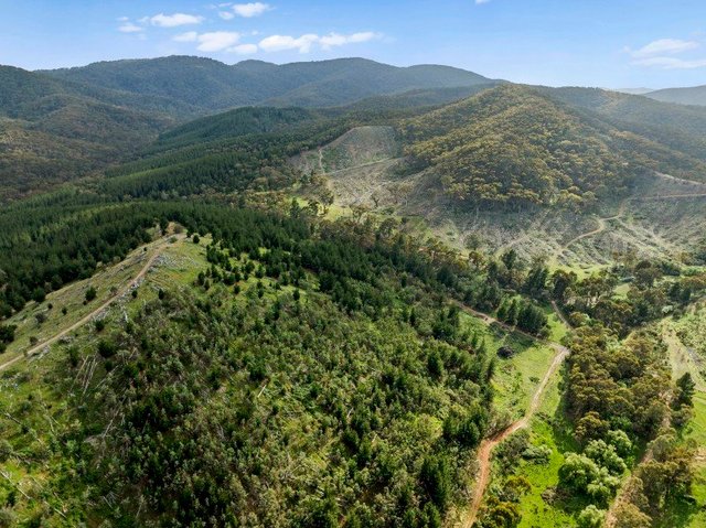259 Hells Hole Creek Road, VIC 3720