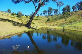 Large Dam