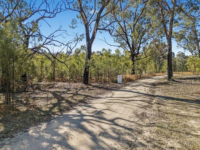 401 Reedy Creek Road, NSW 2849