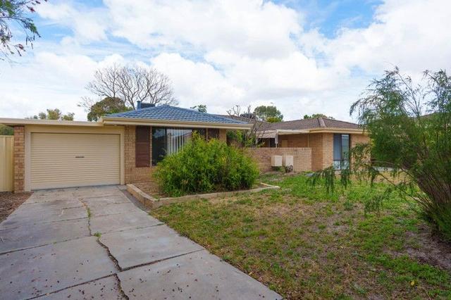 16B Pilkington Circus, WA 6063