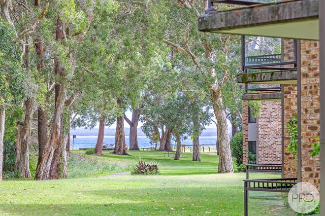 41/2 Gowrie Avenue, NSW 2315