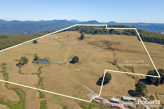 Lot 2 Tongs Road, TAS 7315
