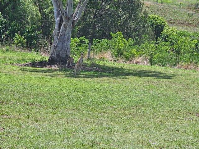 Lot 59 Watts Street, QLD 4370